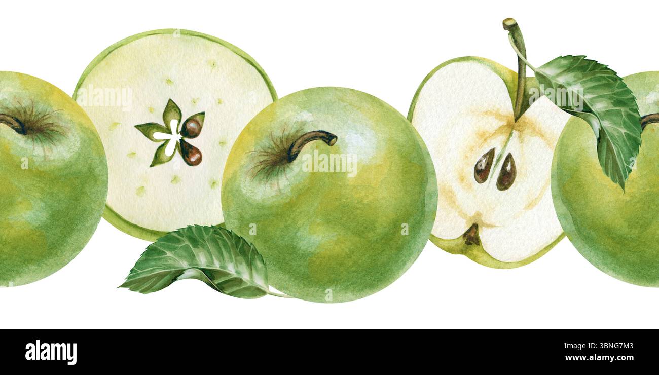 Nahtloser Rand mit grünen Äpfeln, handgezeichnet. Ein Banner mit ganzen Äpfeln und geschnittenen Früchten und grünen Blättern. Das Fruchtmuster ist Stockfoto