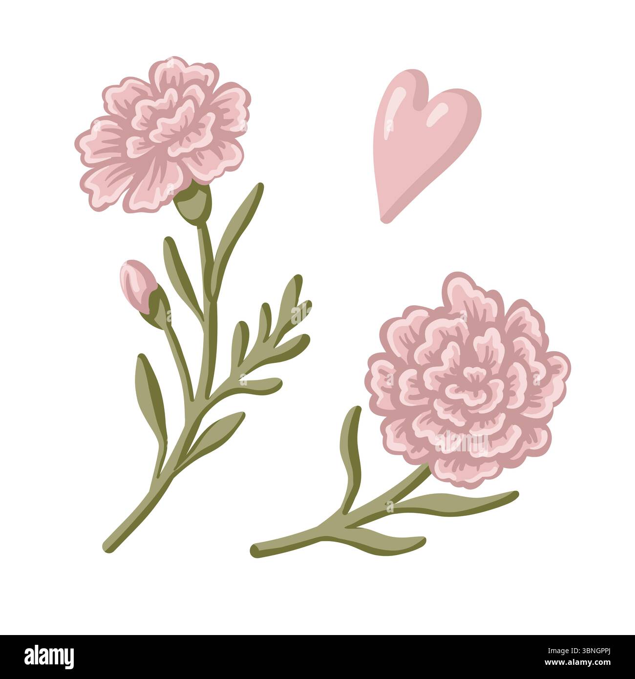 Nelkenblume mit Herz in Rosa- und Grüntönen. Hand gezeichnete Karikaturvektor-Illustration zeigt blühende dianthus im Vintage-Blumenstil. Ideal Stock Vektor
