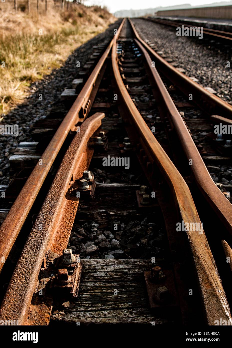 Eine Nahaufnahme eines Bahngleisschalters mit rostigen Metallschienen und hölzernen Schwellen. Stockfoto