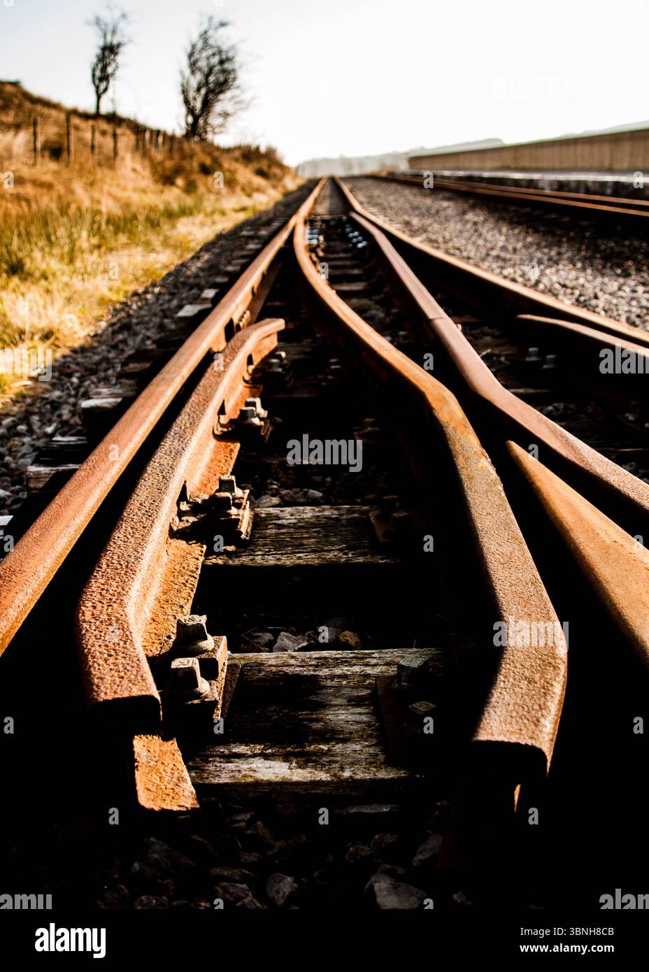 Ein Bild eines Eisenbahngleises mit einer Umschaltung, die Gleise sind rostig und alt, und das Bild ist aus einem niedrigen Winkel aufgenommen. Stockfoto
