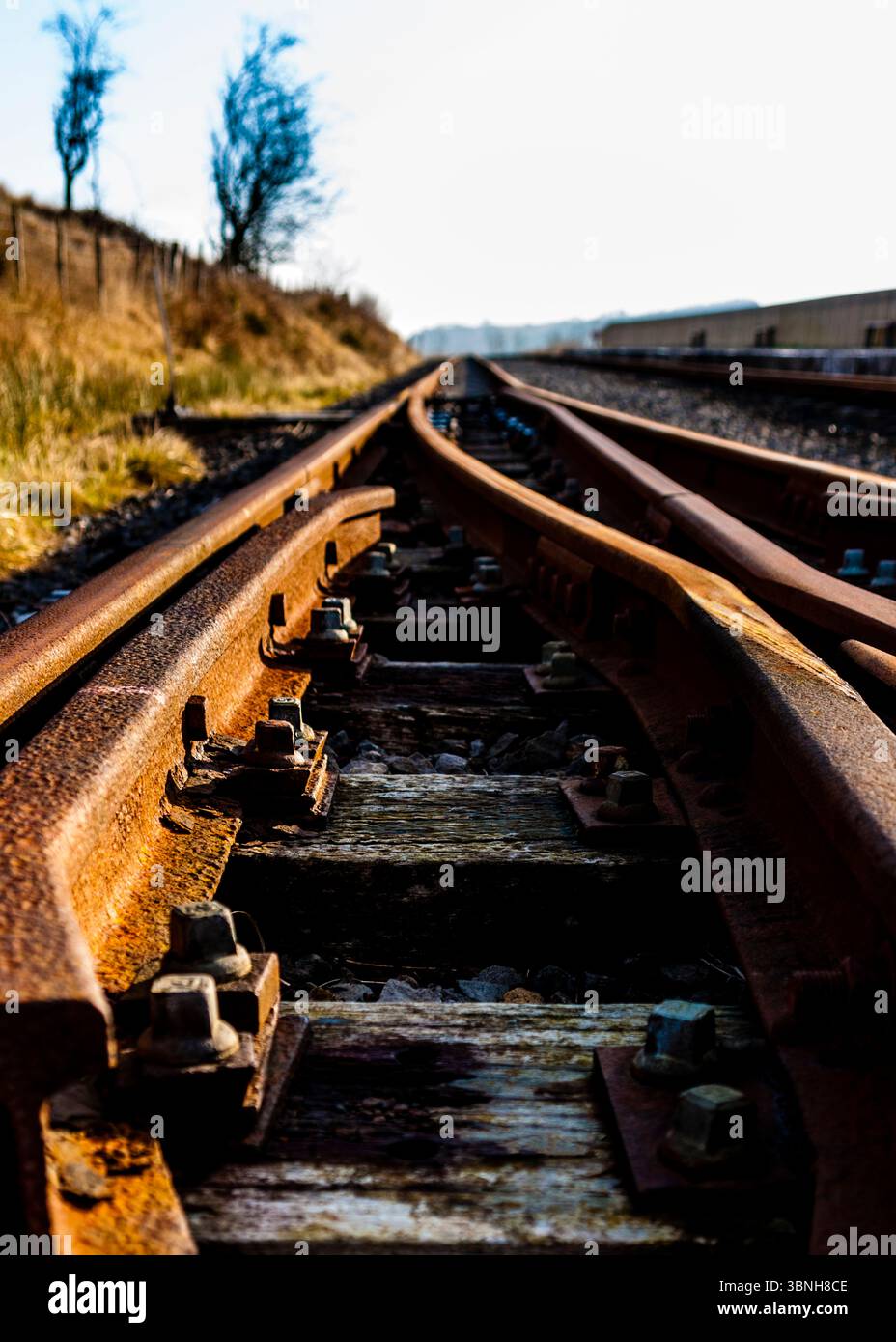 Eine Nahaufnahme eines Eisenbahngleises mit rostigen Schienen und Holzschwellen. Die Strecke teilt sich in zwei Richtungen in der Entfernung, mit einem verschwommenen Hintergrund Stockfoto