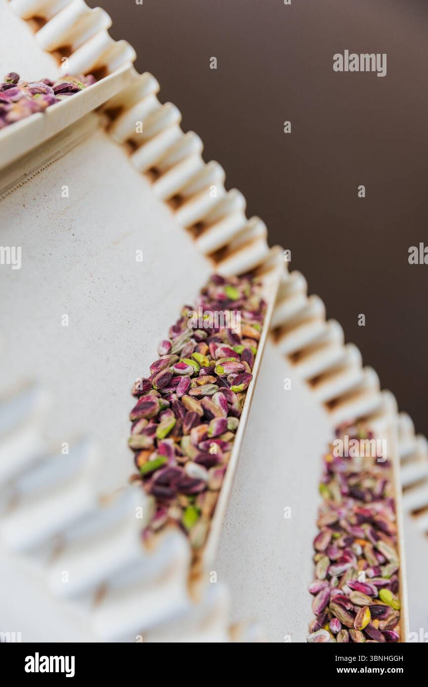 Nahaufnahme von Pistazien auf einer Lebensmittelproduktionslinie, vertikales Foto. Stockfoto