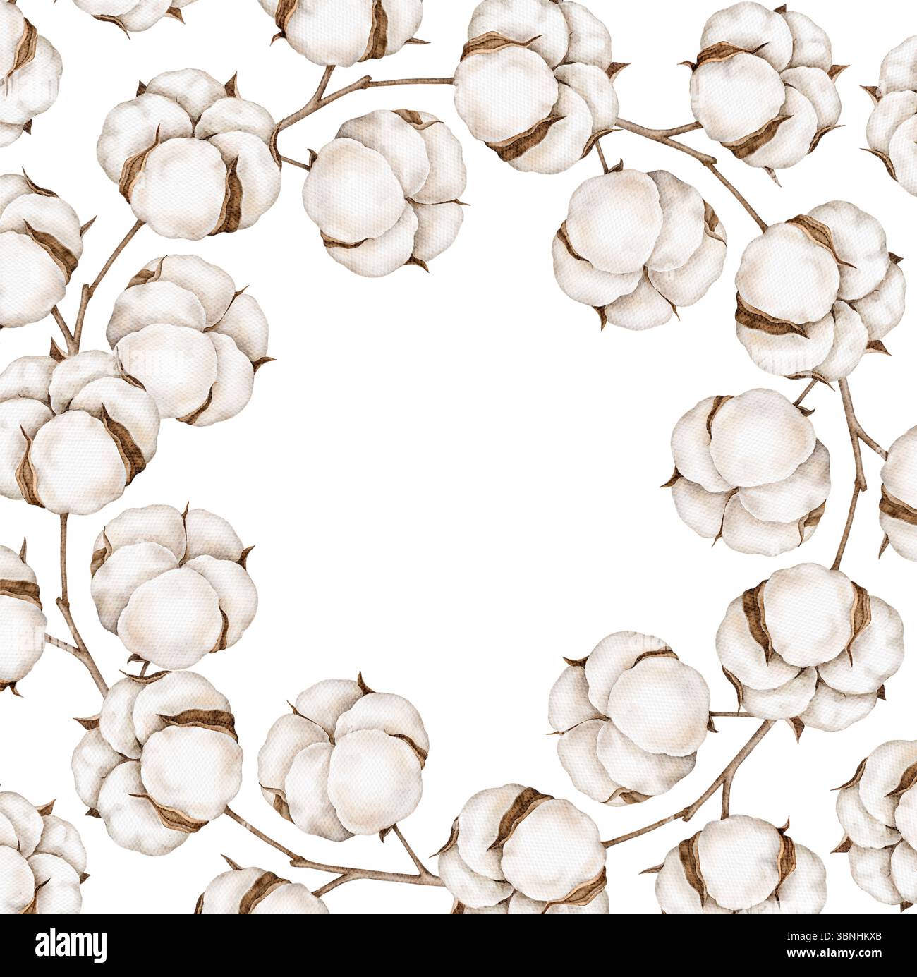 Aquarellrahmen aus weichen Baumwollballen und Zweigen in Naturtönen. Handgemalt und isoliert auf weißem Hintergrund. Perfekt für Hochzeitskarten, ec Stockfoto