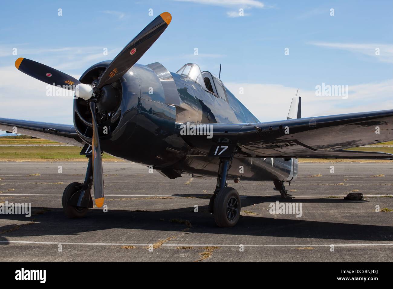 Grumman F6F Hellcat in der Boundary Bay Canada Stockfoto