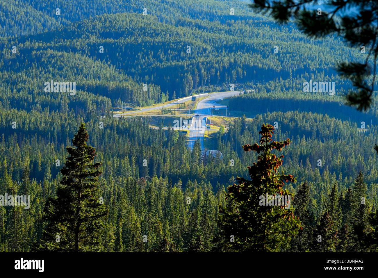 Kreuzung zwischen dem Trans-Canada Highway und dem Banff-Windermere Highway im Bow Valley bei Castle Junction im Banff National Park, Alberta, Kalifornien Stockfoto