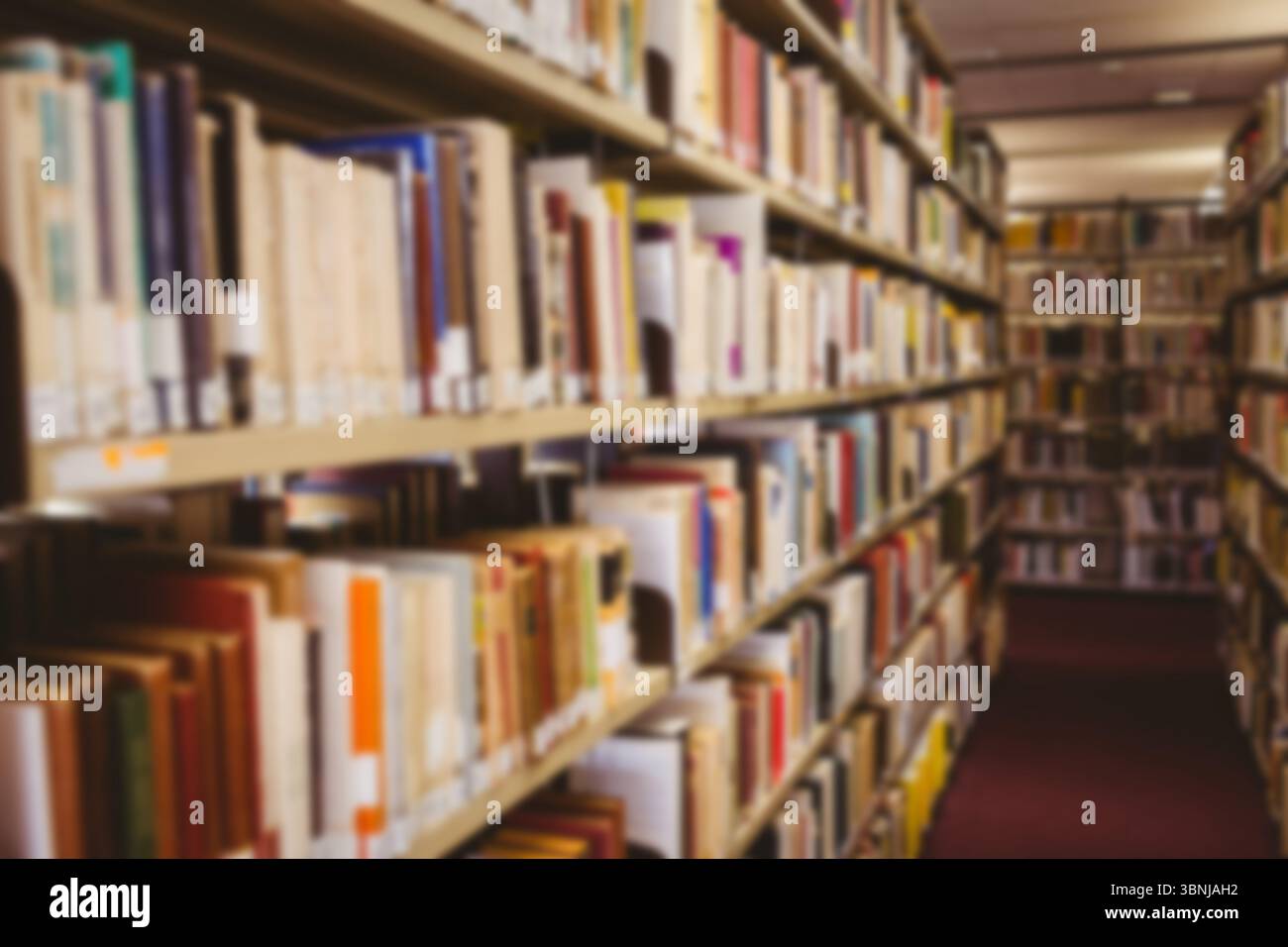 Mehrfarbige Bücher im Regal Stockfoto