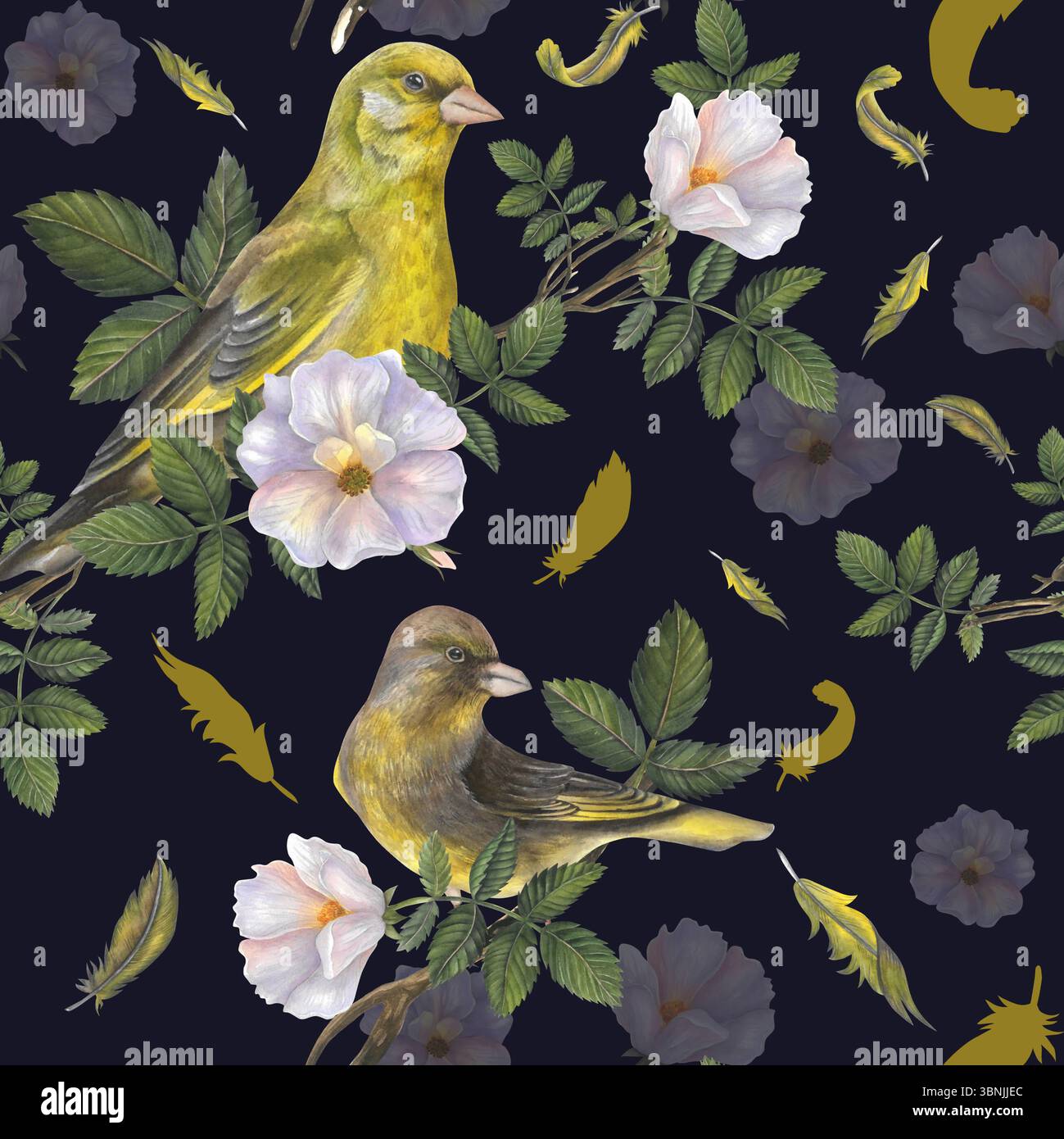 Grünfinkenvögel, Federn, Hagebuttenblüten, Blätter auf dunklem Hintergrund handgezeichnet. Nahtlose Aquarellabbildungen für Stoff und Textil Stockfoto