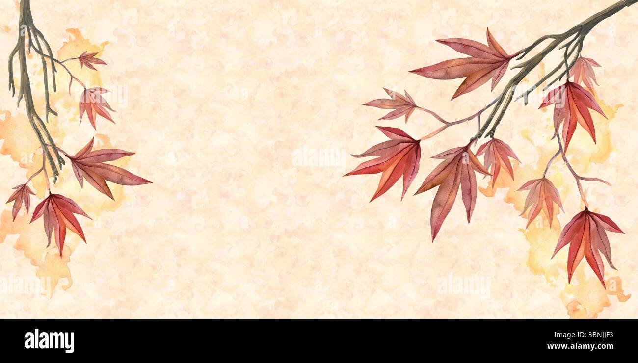 Leuchtend rote Blätter eines japanischen Ahornbaums mit minimalistischer Ästhetik. Aquarellabbildung auf dem Hintergrund von Spritzern Stockfoto