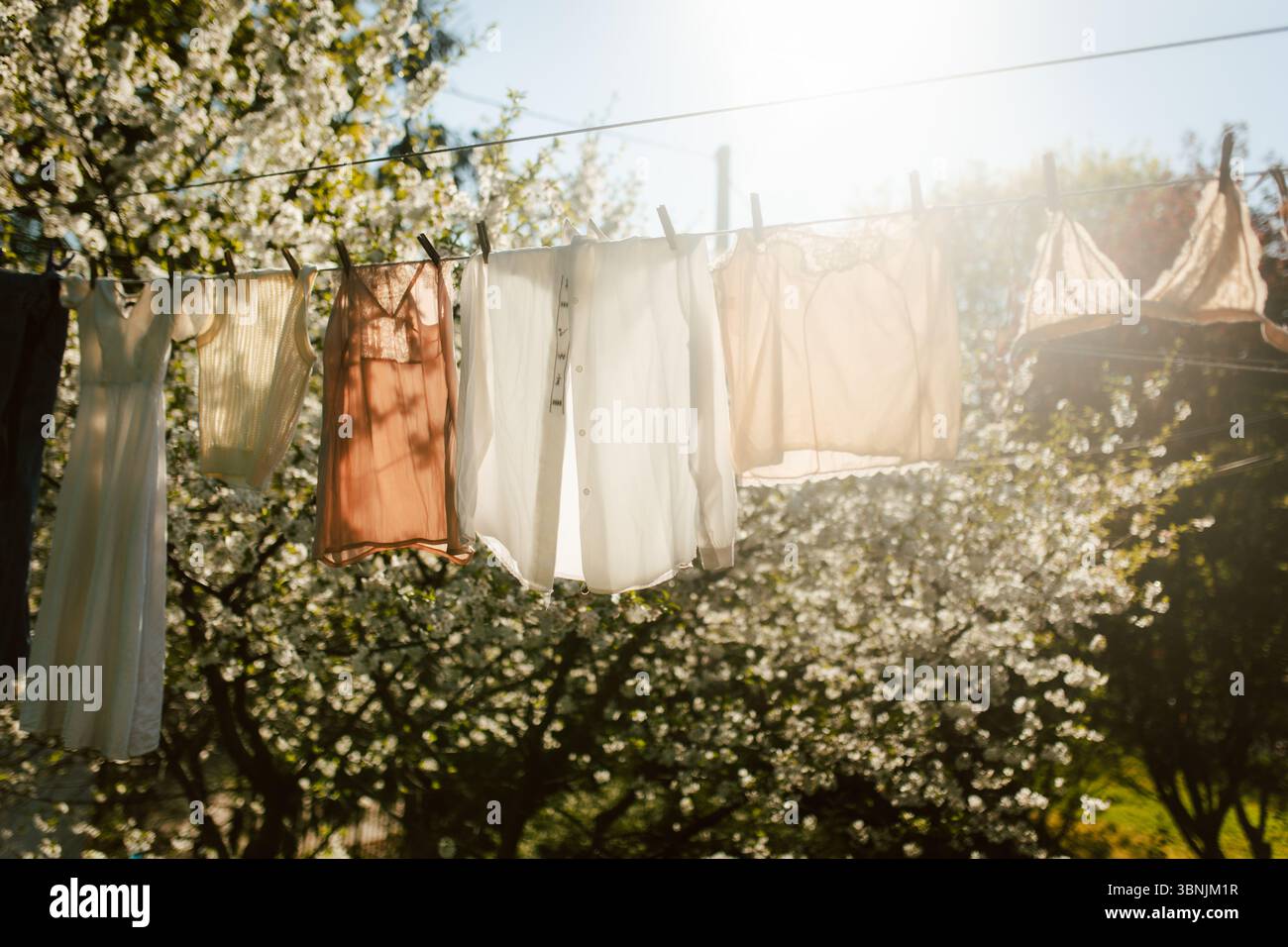Sonnendurchflutete Kleidung schwingt sanft auf einem Wäscheleinen zwischen blühenden Bäumen und fängt einen ruhigen Moment der frischen Wäsche ein, die draußen in einem malerischen Garten trocknet Stockfoto