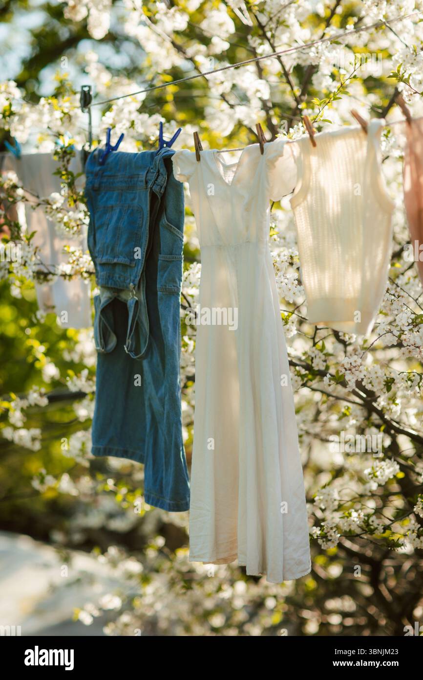 Ein heiteres Bild frisch gewaschener Kleidung, das an einem sonnigen Tag zwischen blühenden Bäumen an einer Wäscheleine hängt und die Essenz des Frühlings und der Natur einfängt Stockfoto