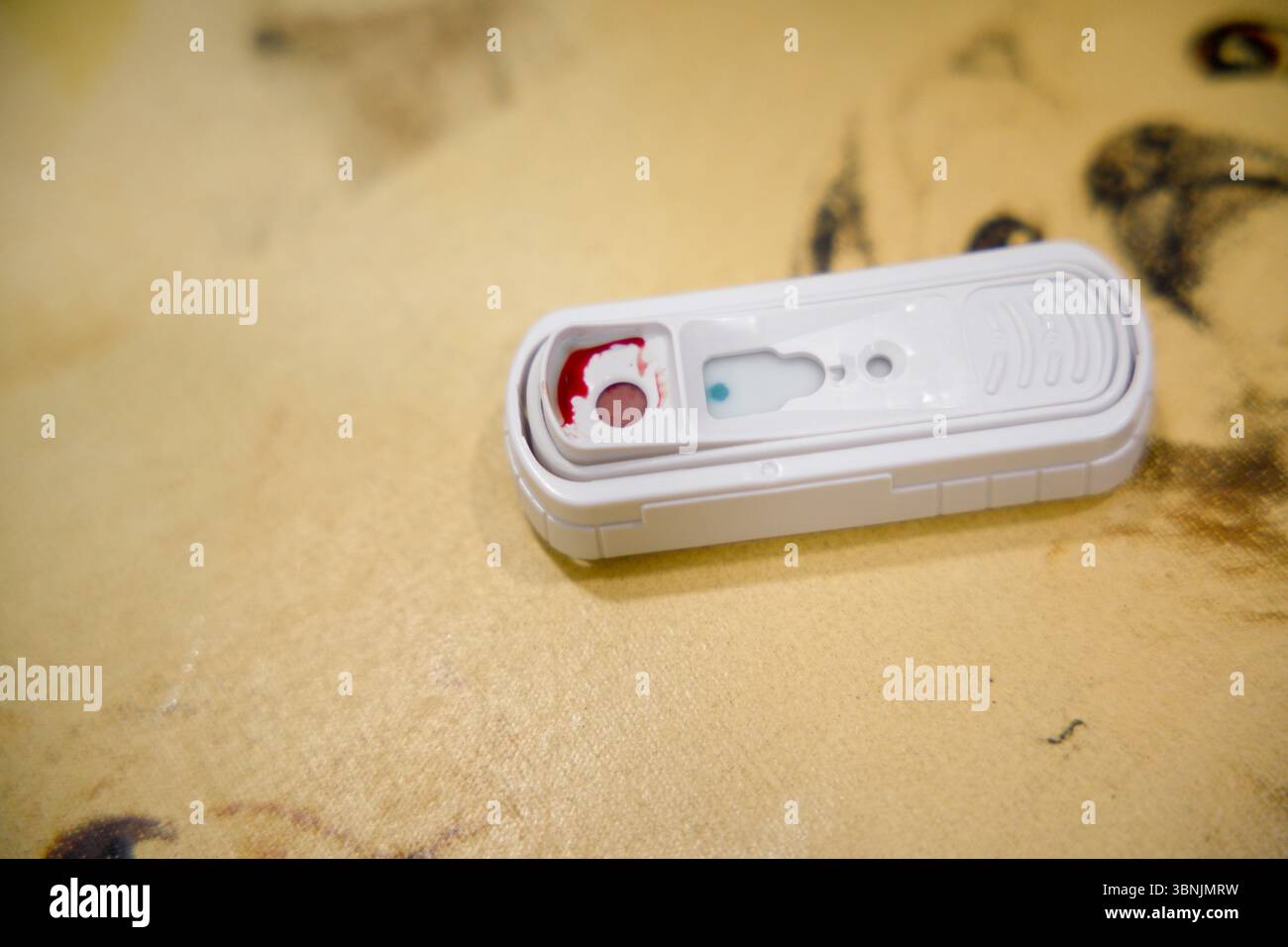 Ein veterinärmedizinischer Schnelltest-Kit liegt auf einer strukturierten Oberfläche und zeigt eine Blutprobe zur Analyse an. Dieses Werkzeug ist für die schnelle Erkennung von Krankheiten im Tierarzt von entscheidender Bedeutung Stockfoto