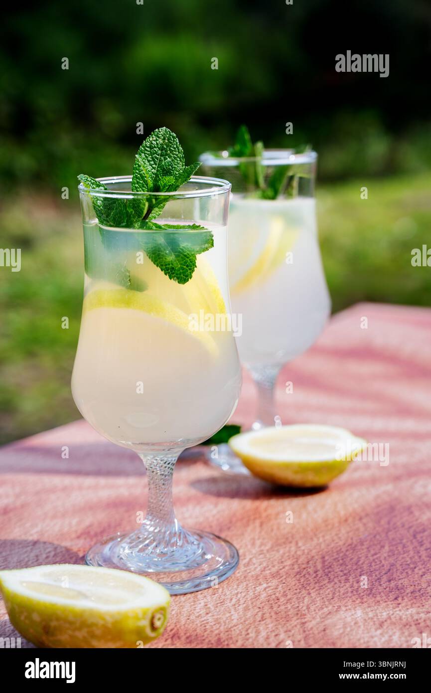Zwei erfrischende Gläser Limonade garniert mit Pfefferminz sitzen elegant am Pool. Der perfekte Begleiter für sonnige Tage, für Entspannung und Sommer Stockfoto