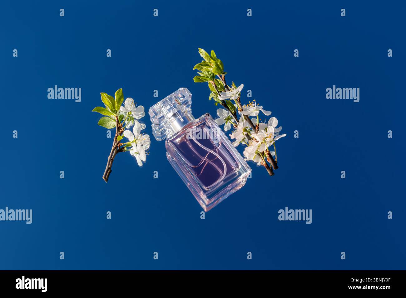 Eine raffinierte Parfümflasche wird elegant von zarten Blumen vor einem leuchtend blauen Himmel eingerahmt und fängt die Essenz von Luxus und natürlicher Schönheit ein Stockfoto