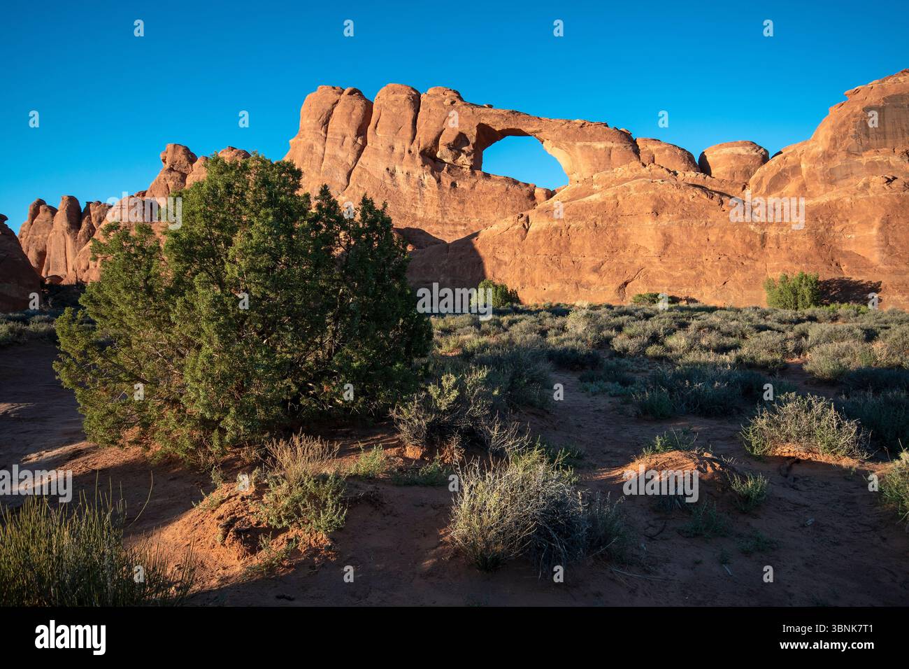 Skyline Arch im Arches National Park, Utah, USA Stockfoto