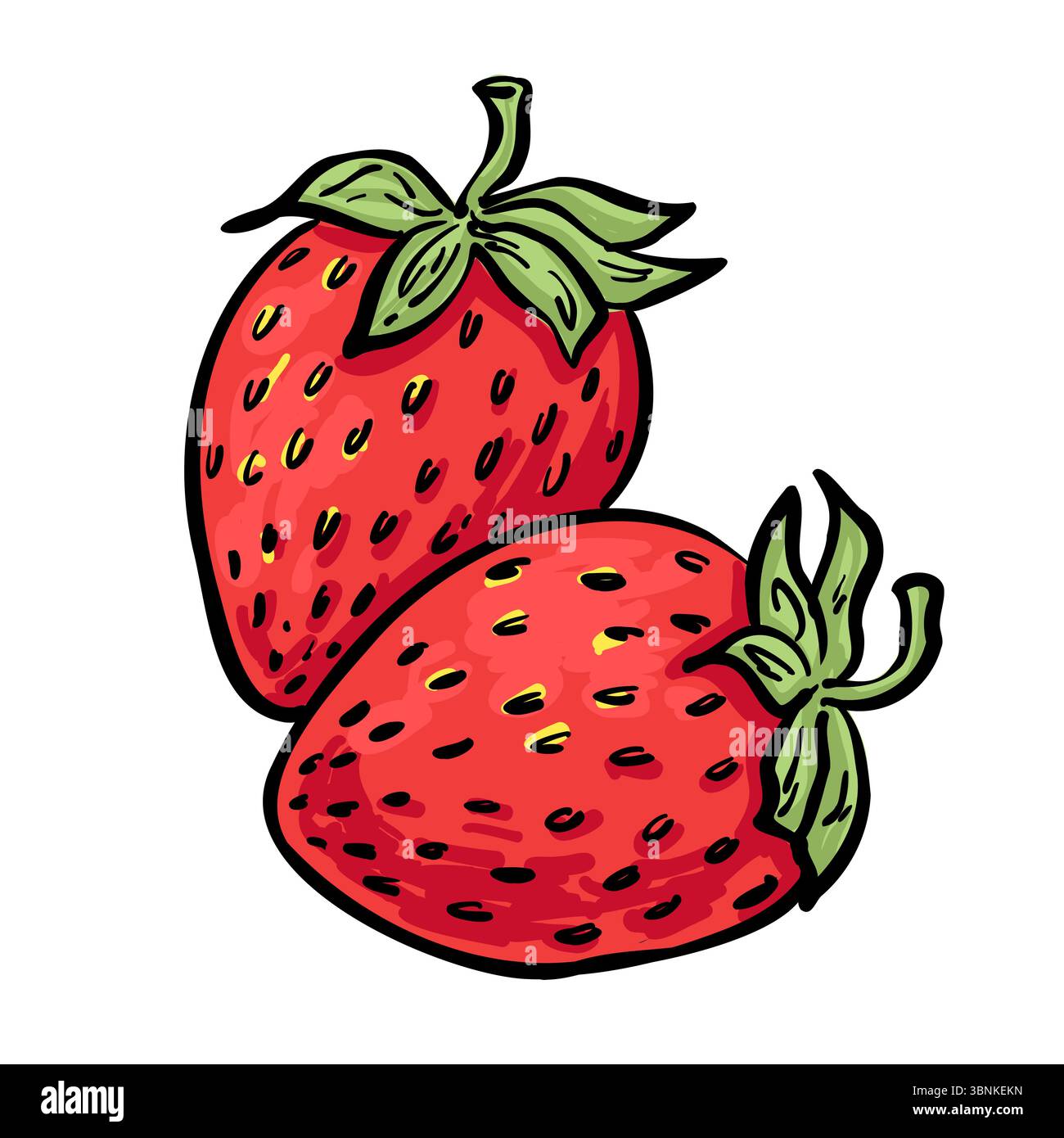 Saftiges rotes Erdbeerduo mit grünen Tops. Handgezeichnetes Clipart für Lebensmittelverpackungen, Produktetiketten und Sommerdesigns. Stock Vektor