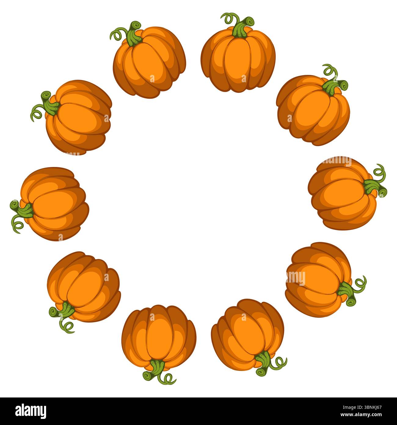 Kürbiskreisrahmen. Die runde Grenze besteht aus Herbstkürbissen. Herbst, Herbst. Flacher Vektor-Clipart Stock Vektor