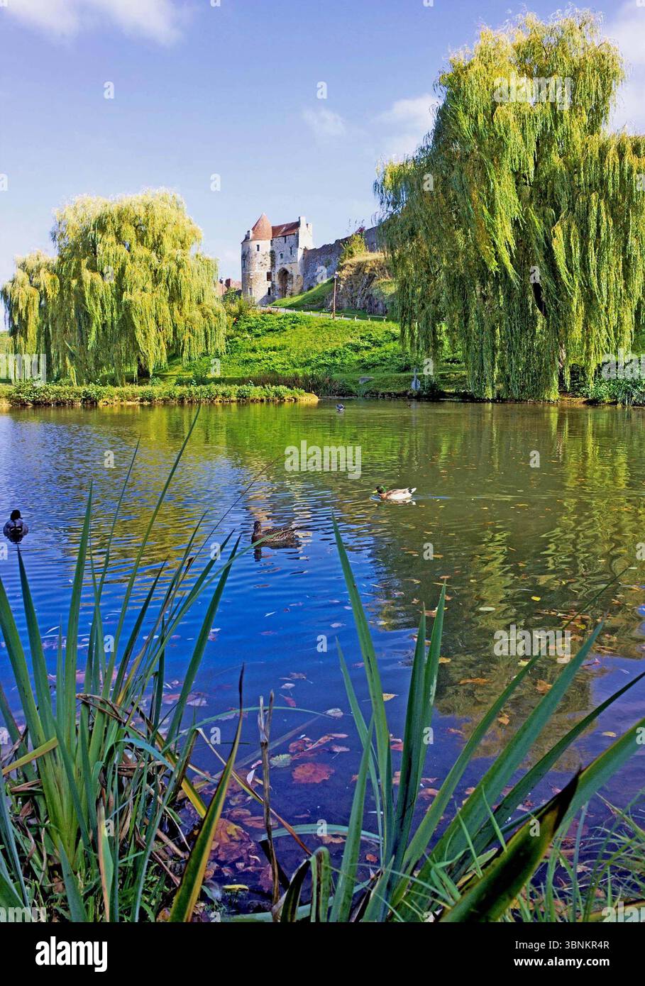 Balade au pied du château de Guillaume le Conquérant à Falaise en Normandie Stockfoto