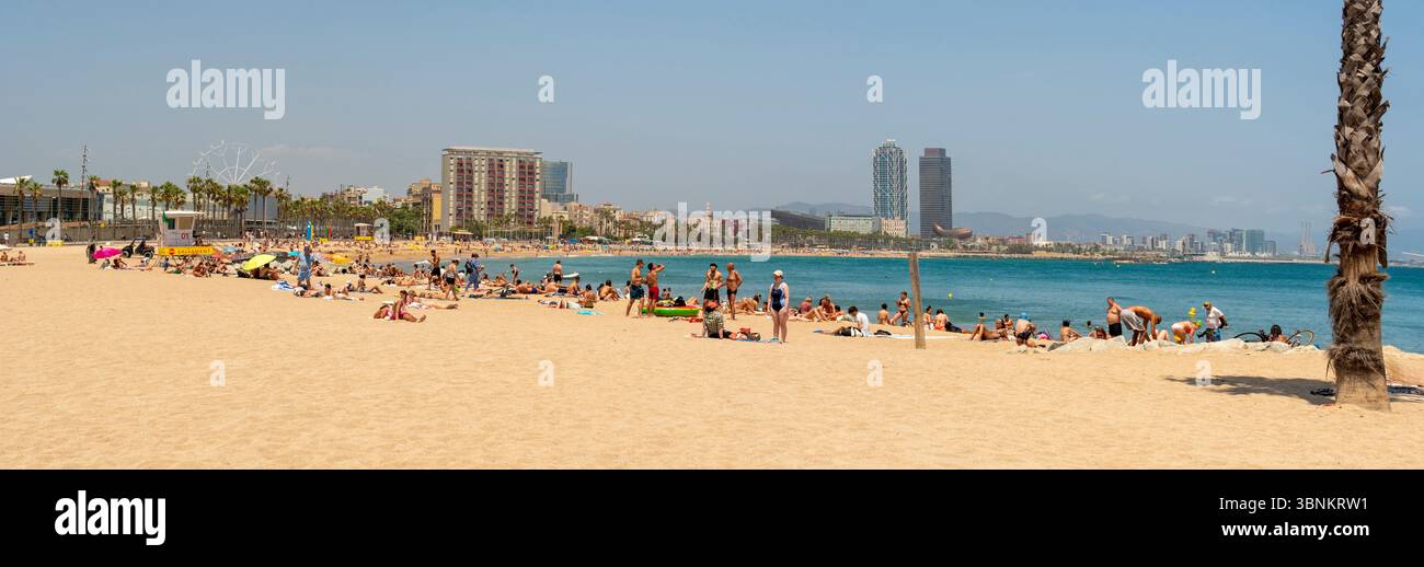 Ein Panoramablick auf einen sonnenverwöhnten Strand von Barcelona, voller Sonnenanbeter und Schwimmer, mit den berühmten Doppeltürmen von Port Olímpic in der Ferne. Stockfoto