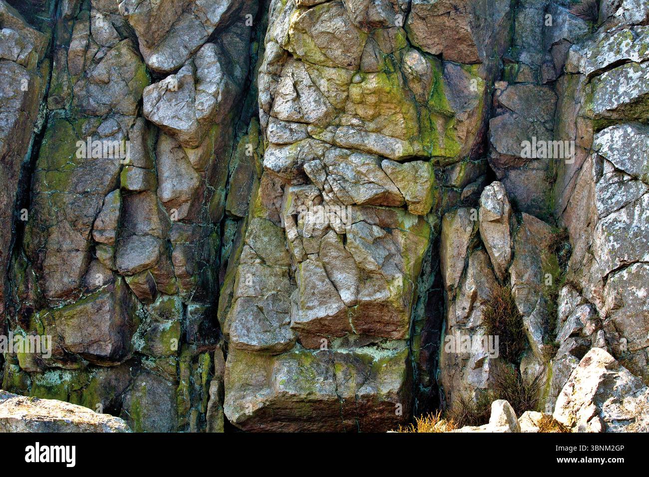The Witchy Crag, Manstone Rock, The Stiperstones, South Shropshire, West Midlands England. Stockfoto