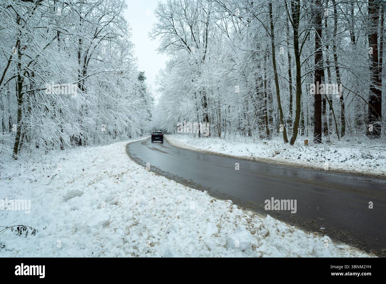 Auto auf einer rutschigen Straße in einem schneebedeckten Wald, Nowiny, Polen Stockfoto