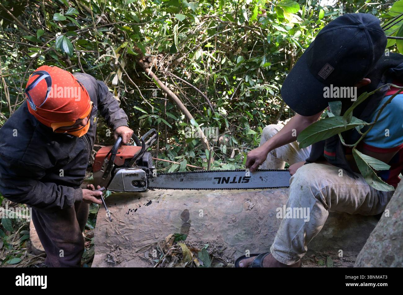 LAOS PDR, Provinz Salawan, Entwaldung, Baumschnitt mit deutscher Kettensäge STIHL mit doppelter chinesischer Klinge Sitnl / LAOS, Provinz Salavan, Entwaldung, Fälle von Bäumen Stockfoto