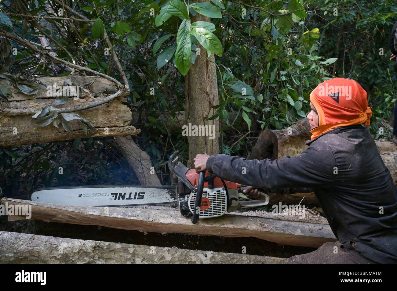 LAOS PDR, Provinz Salawan, Entwaldung, Baumschnitt mit deutscher Kettensäge STIHL mit doppelter chinesischer Klinge Sitnl / LAOS, Provinz Salavan, Entwaldung, Fälle von Bäumen Stockfoto