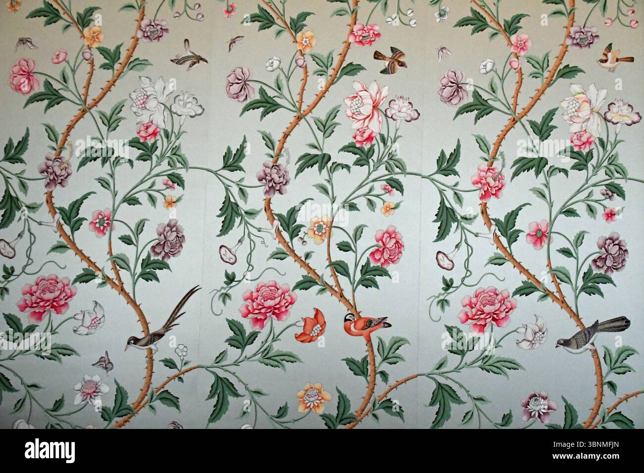 Tapetenmuster mit rosa Rosen und Rosenranken auf hellem Hintergrund Stockfoto