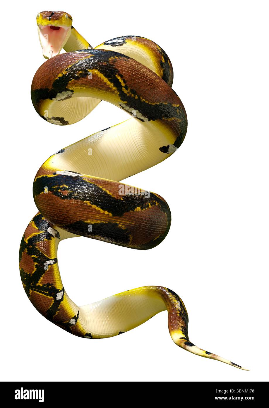 3D Darstellung einer retikulierten Python oder Python reticulatus, einer in Südostasien gefundenen Pythonart Stockfoto