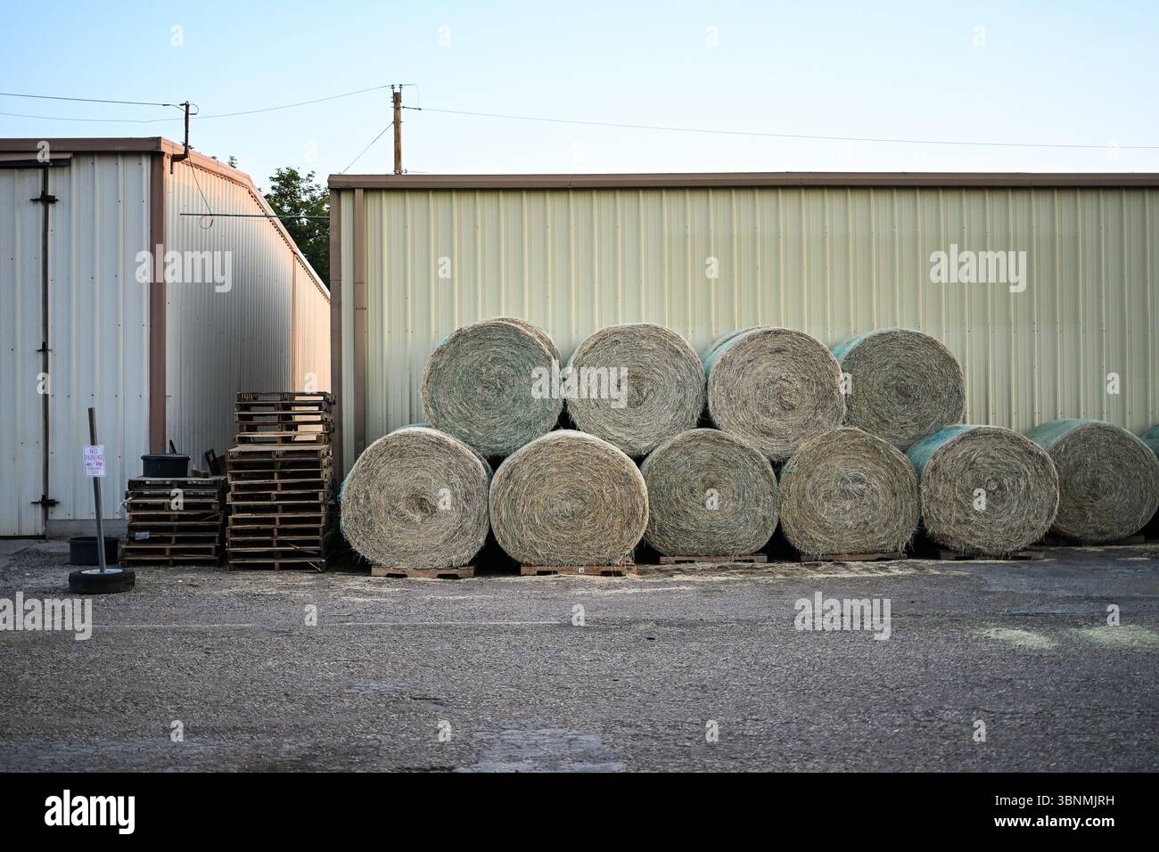 Heuballen auf der Straße in Marfa, Texas, USA Stockfoto