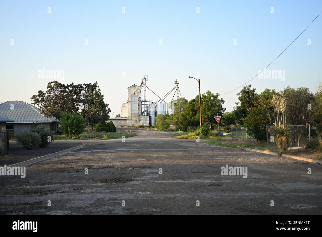 Straße mit Getreidesilo im Zentrum von Marfa, Texas, USA Stockfoto