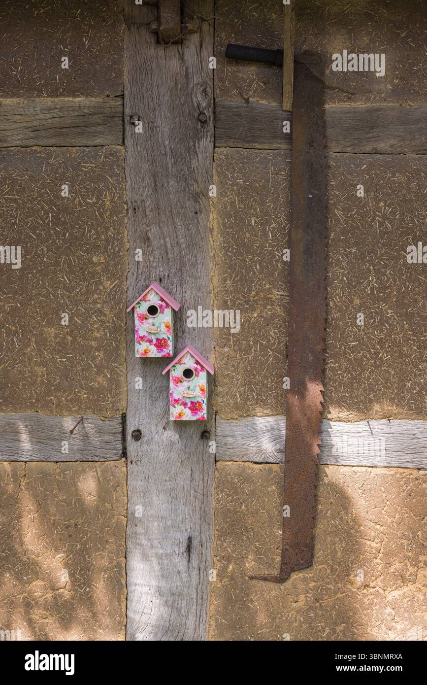 Alte Säge, die an der Wand hängt, zwei-Mann-Säge, Gartenstillleben Stockfoto