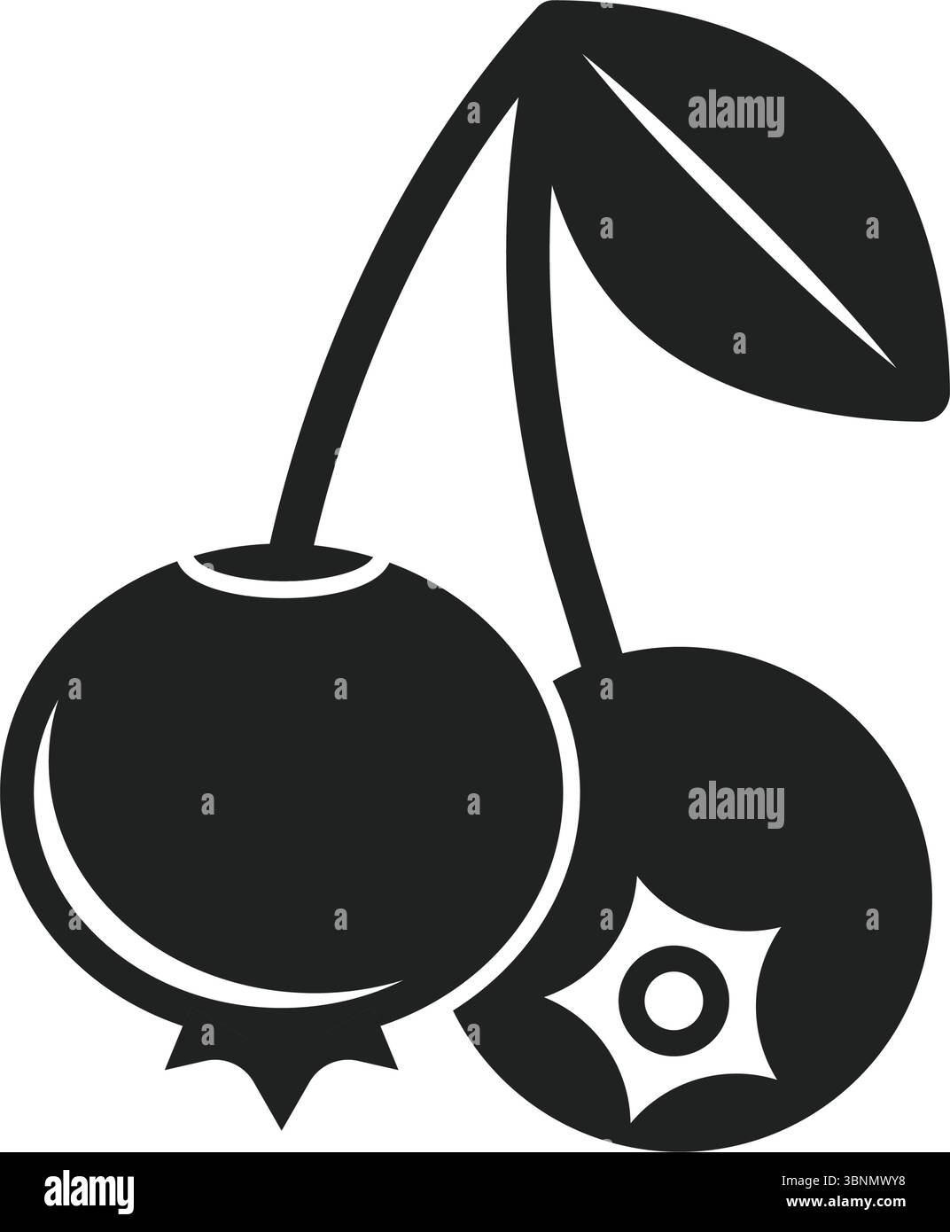 Cranberry Frucht-Ikone im flachen Stil. Preiselbeervektorillustration auf isoliertem Hintergrund. Business-Konzept für frische Beeren. Stock Vektor