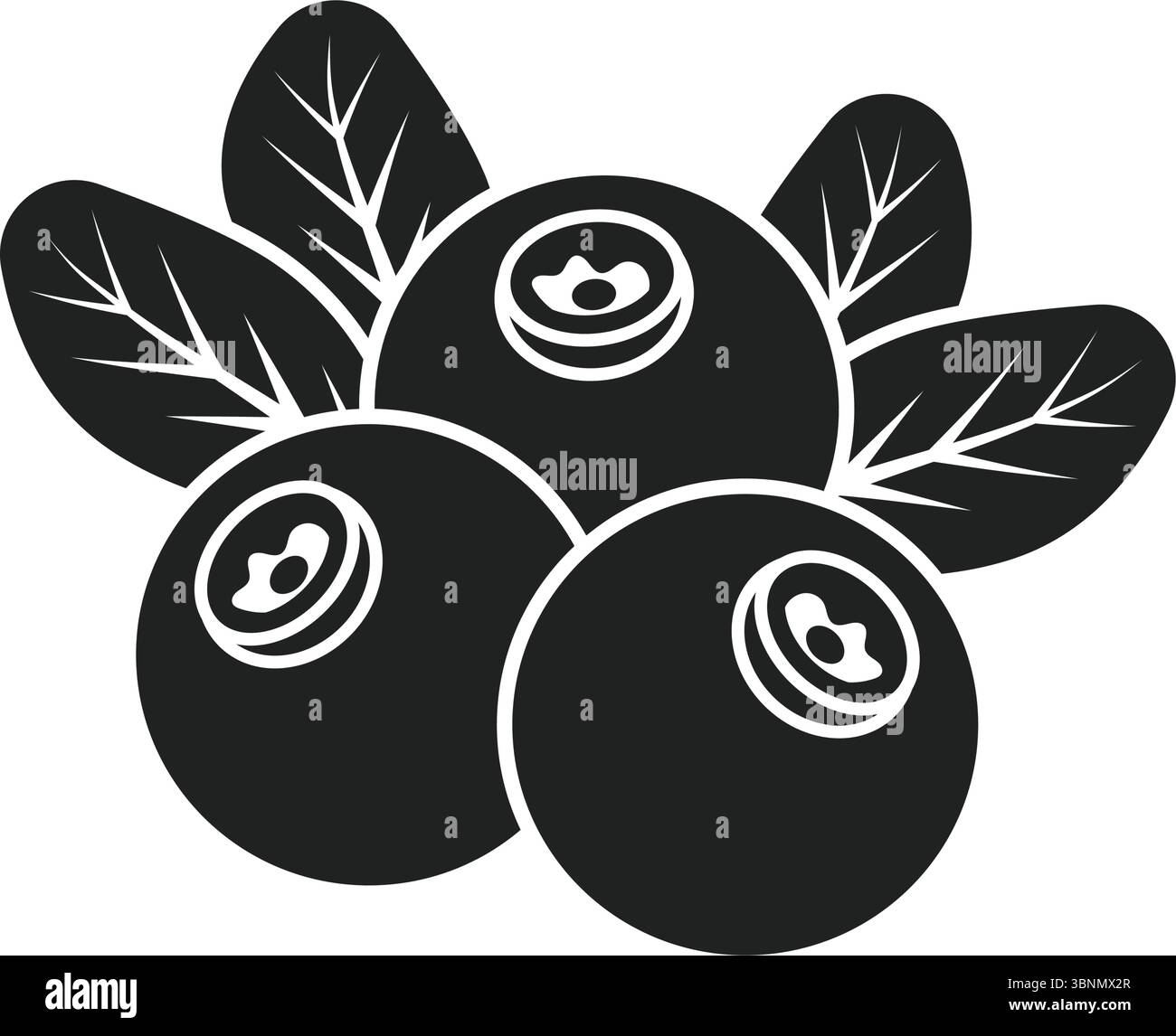 Cranberry Frucht-Ikone im flachen Stil. Preiselbeervektorillustration auf isoliertem Hintergrund. Business-Konzept für frische Beeren. Stock Vektor