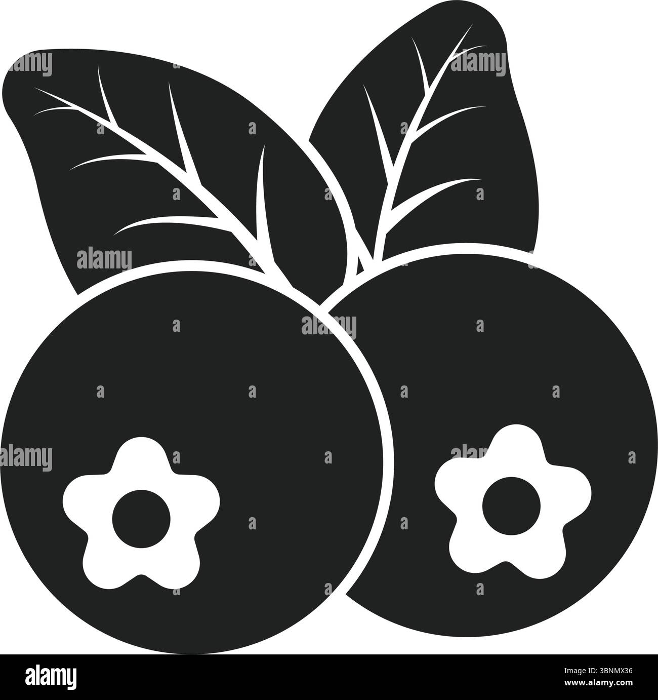 Cranberry Frucht-Ikone im flachen Stil. Preiselbeervektorillustration auf isoliertem Hintergrund. Business-Konzept für frische Beeren. Stock Vektor