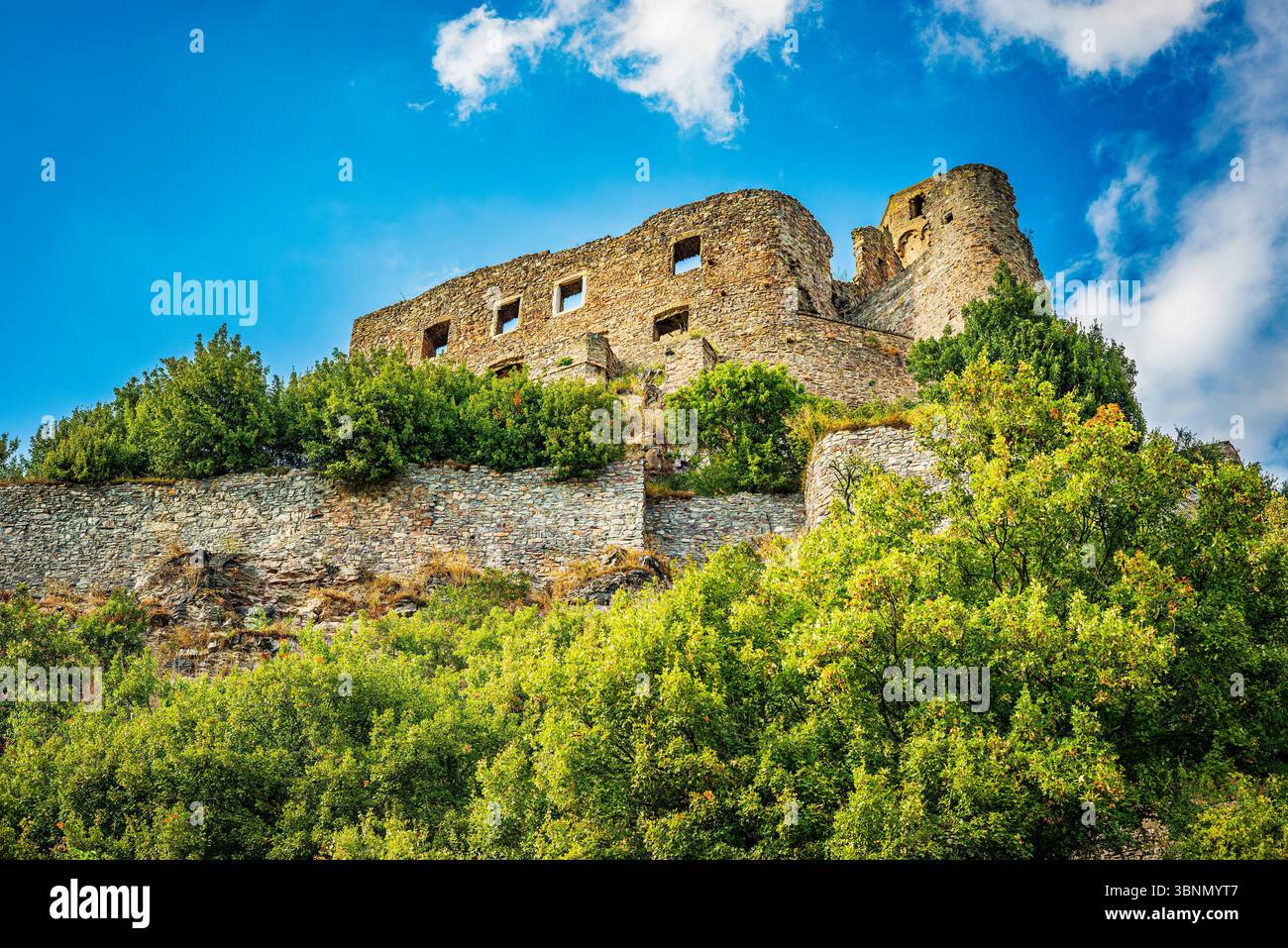 Burg Ehrenfels, eine Hügelburg, Ruine mit Zwinger und Graben, Südostseite, wo das Mittelrheintal beginnt Stockfoto