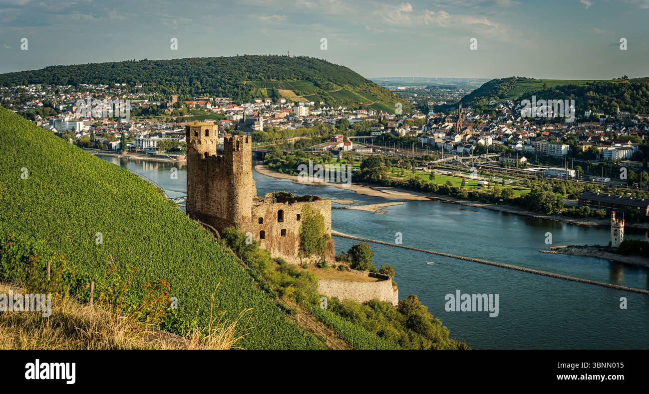 Schloss Ehrenfels, eine Hügelburg, der Mäuseturm und das Binger Loch, dahinter Bingen und Bingerbrück, wo das Mittelrheintal beginnt Stockfoto