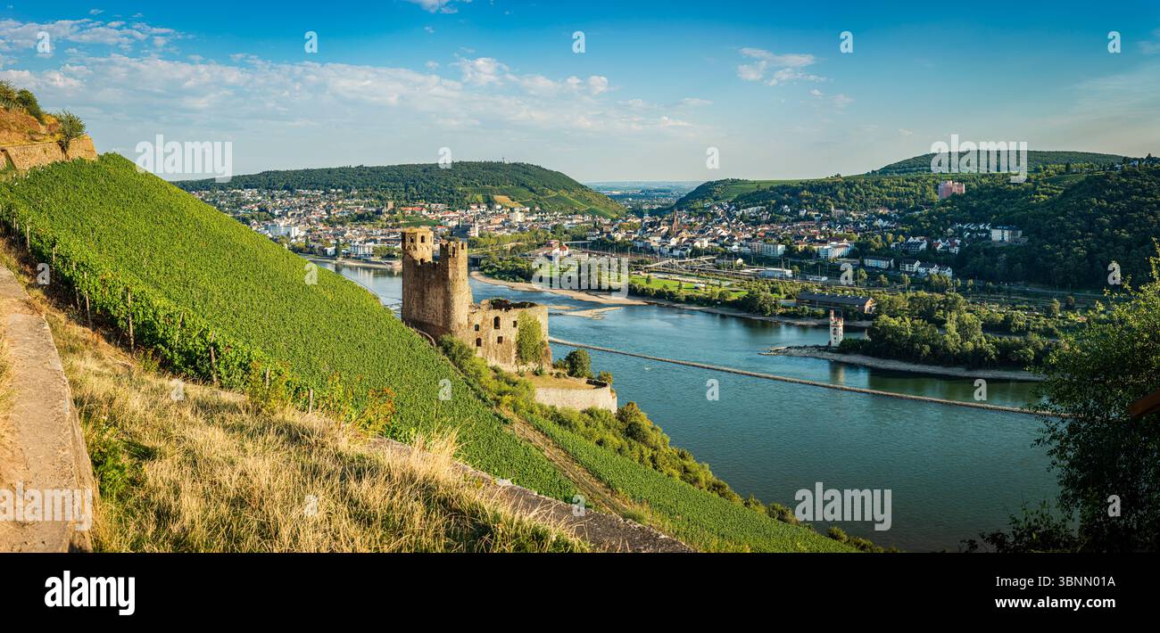 Schloss Ehrenfels, eine Hügelburg, der Mäuseturm und das Binger Loch, dahinter Bingen und Bingerbrück, wo das Mittelrheintal beginnt Stockfoto