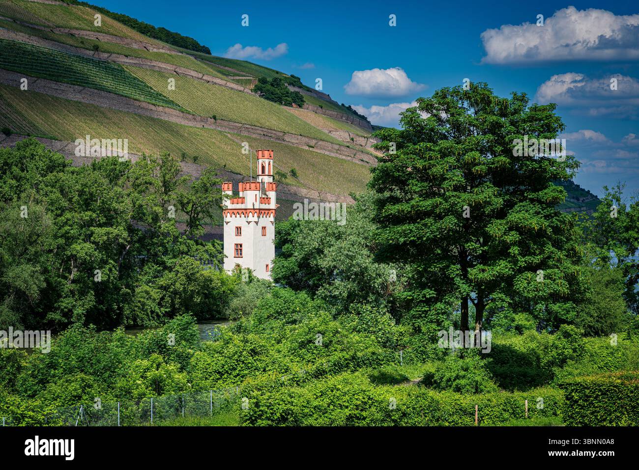 Mäuseturm bei Bingen, wo das obere Mittelrheintal beginnt und damit zum gleichnamigen UNESCO-Weltkulturerbe gehört Stockfoto