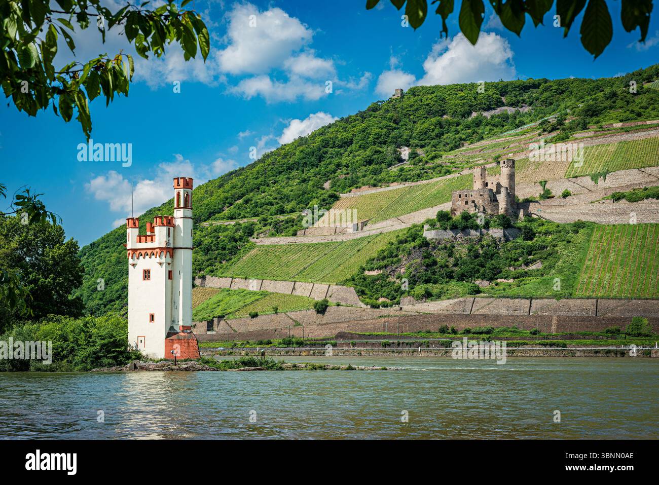 Die Ruinen Mäuseturm und Ehrenfels bei Bingen, wo das obere Mittelrheintal beginnt und damit zum gleichnamigen UNESCO-Weltkulturerbe gehört Stockfoto