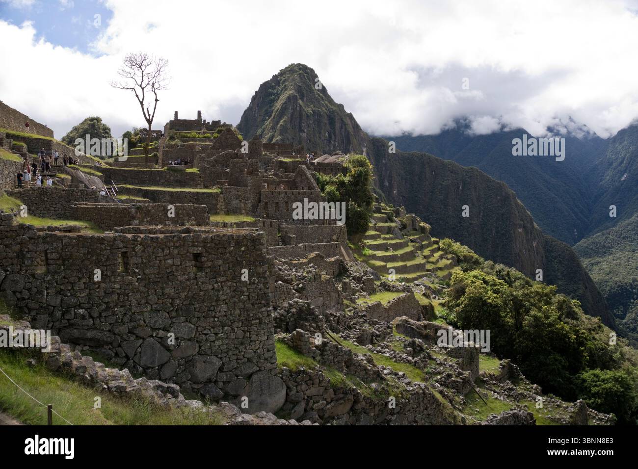 Machu Picchu, die Inka-Zitadelle aus dem 15. Jahrhundert in Peru, die oft als „verlorene Stadt der Inkas“ bezeichnet wird. Stockfoto