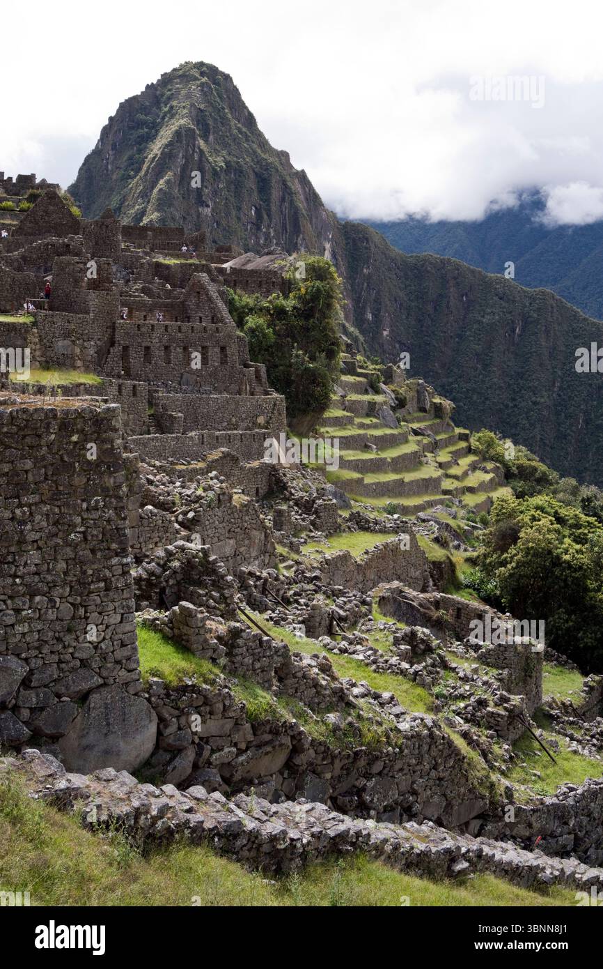 Machu Picchu, die Inka-Zitadelle aus dem 15. Jahrhundert in Peru, die oft als „verlorene Stadt der Inkas“ bezeichnet wird. Stockfoto