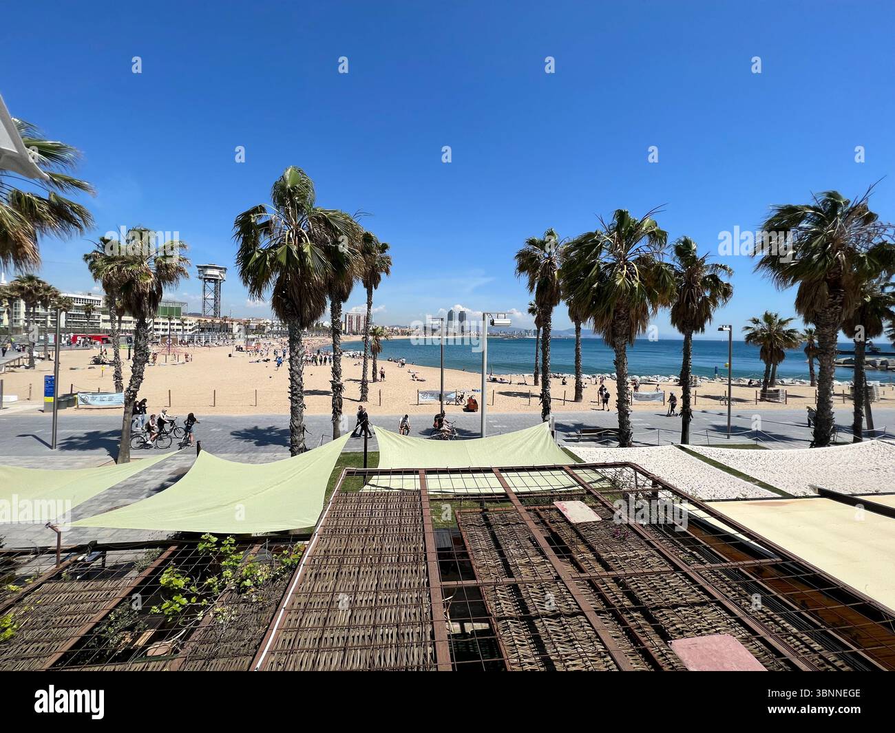 Ein sonniger Tag am Strand Barceloneta in Barcelona mit Palmen und dem Mittelmeer. - Smartphone-aufgenommenes Stockfoto