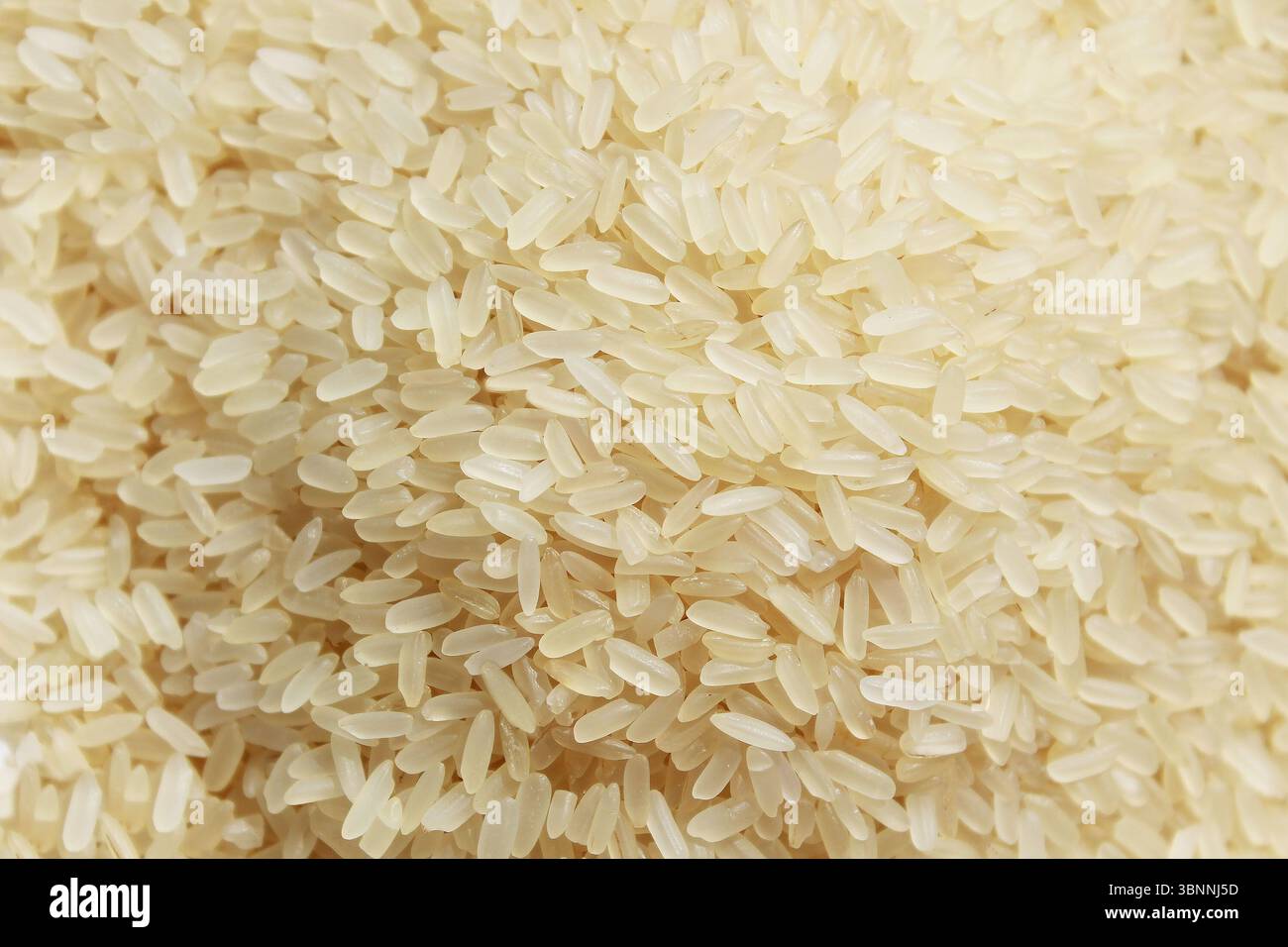 Parkochierter Reis Trockenfutter, die Textur in Nahaufnahme. Stockfoto