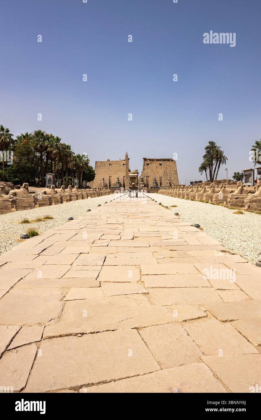 Luxor-Tempel, Sphinxallee zum ersten Pylon, Luxor, Ägypten, Nordafrika, Afrika Stockfoto