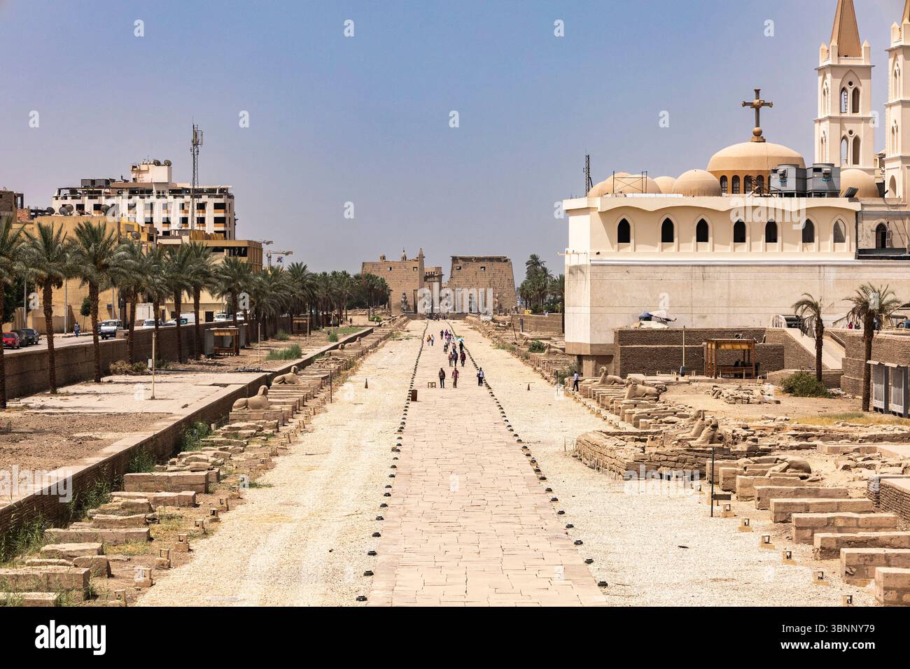 Luxor-Tempel, Sphinxallee zum ersten Pylon, Luxor, Ägypten, Nordafrika, Afrika Stockfoto