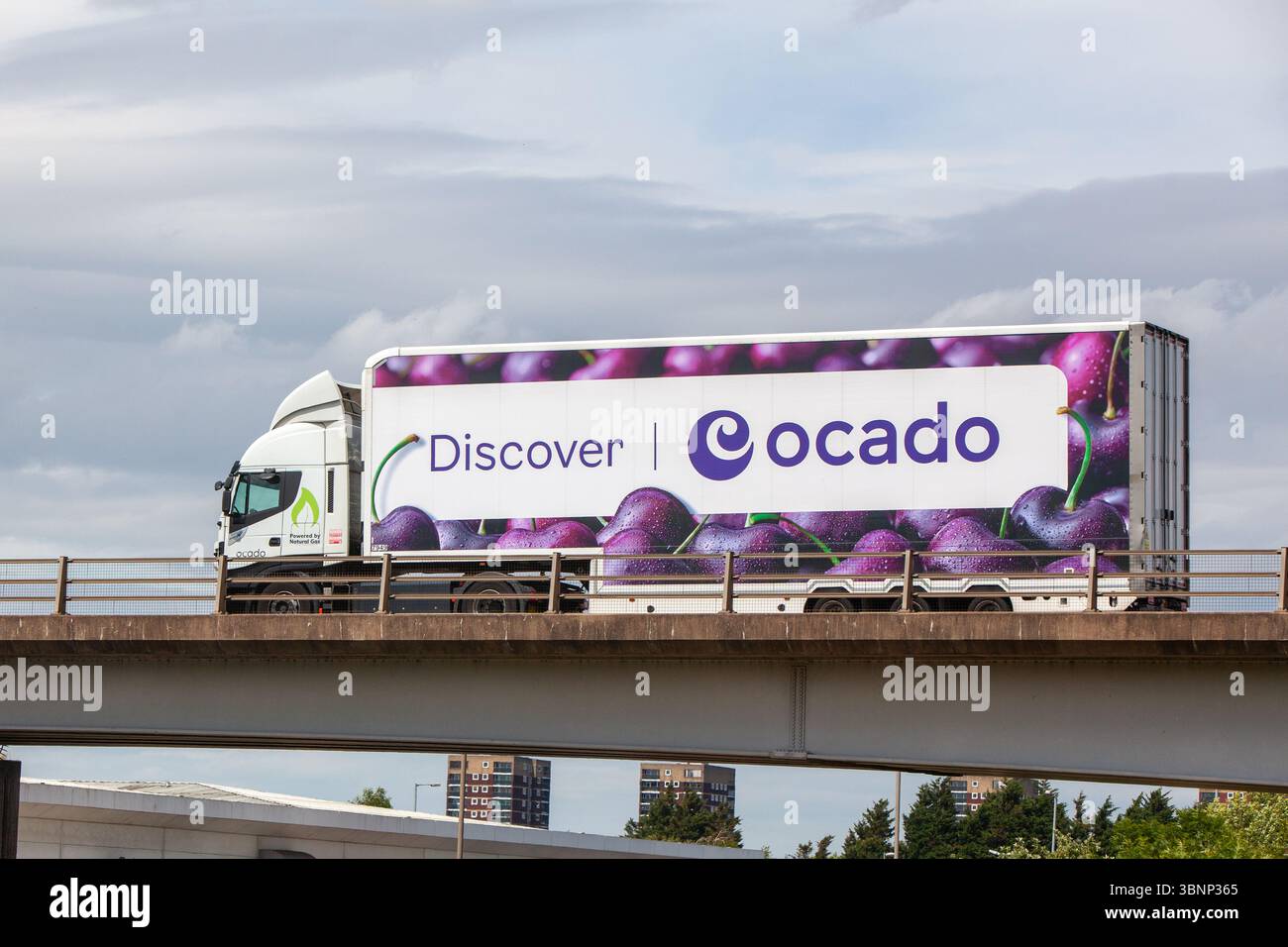 Der weiße DAF XF-Sattelzugwagen mit einem Ocado-Kühlwagen mit violetten Kirschen überquert eine Betonfertigteilbrücke auf der A5 in Tam Stockfoto
