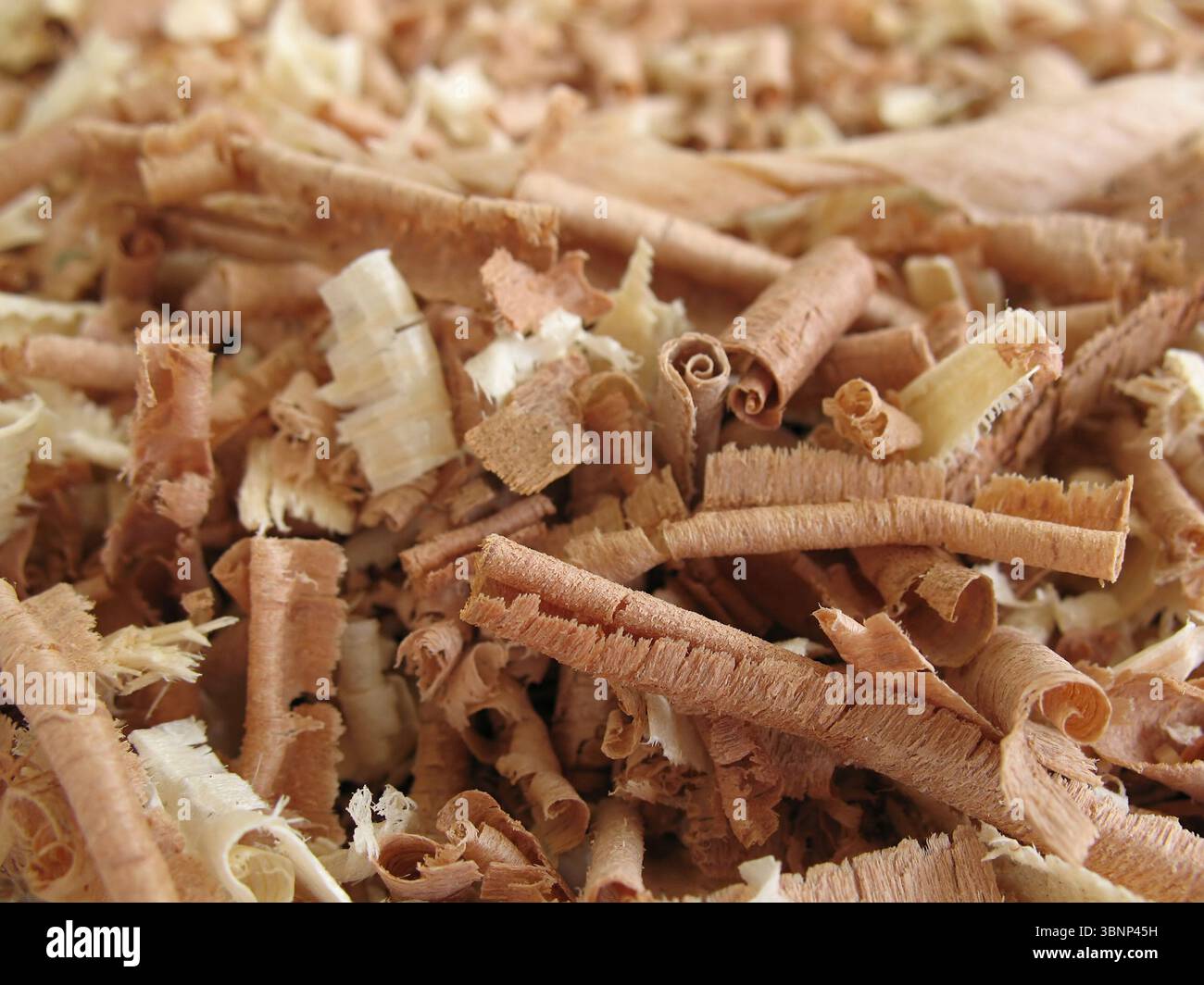 Nahaufnahme brauner und cremeweißer Holzspäne. Stockfoto