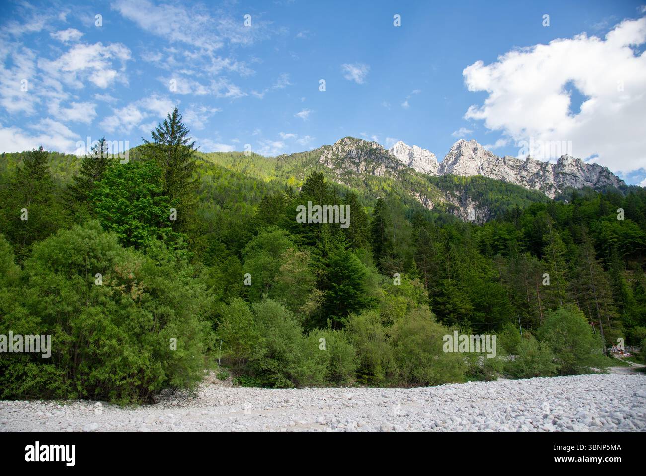 Berge und Fluss bei Kranjska Gora, Slowenien Stockfoto