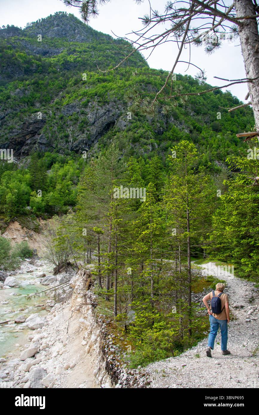 Wunderschöner Fluss Soca im Nationalpark Triglav, Slowenien Stockfoto