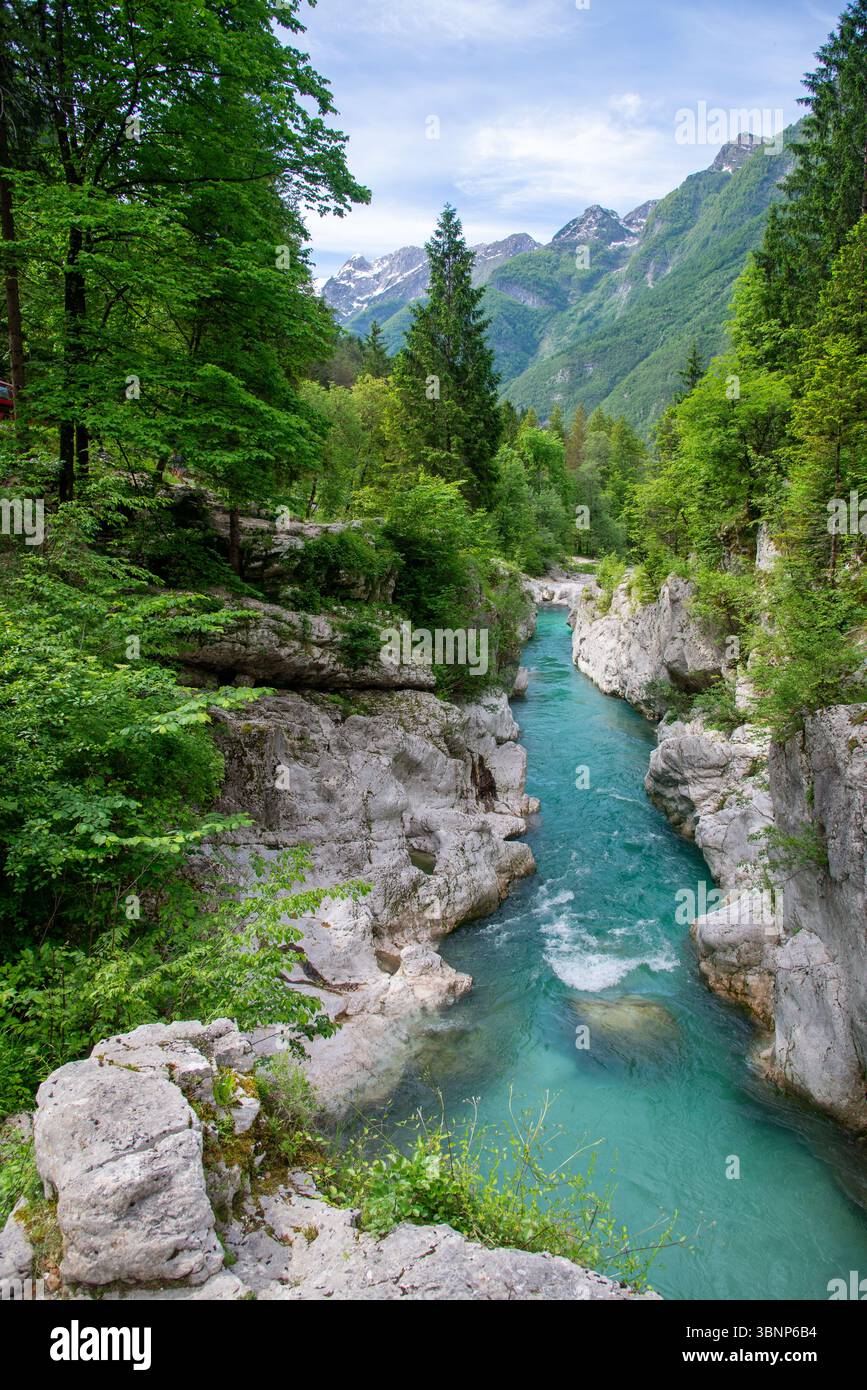 Wunderschöner Fluss Soca im Nationalpark Triglav, Slowenien Stockfoto